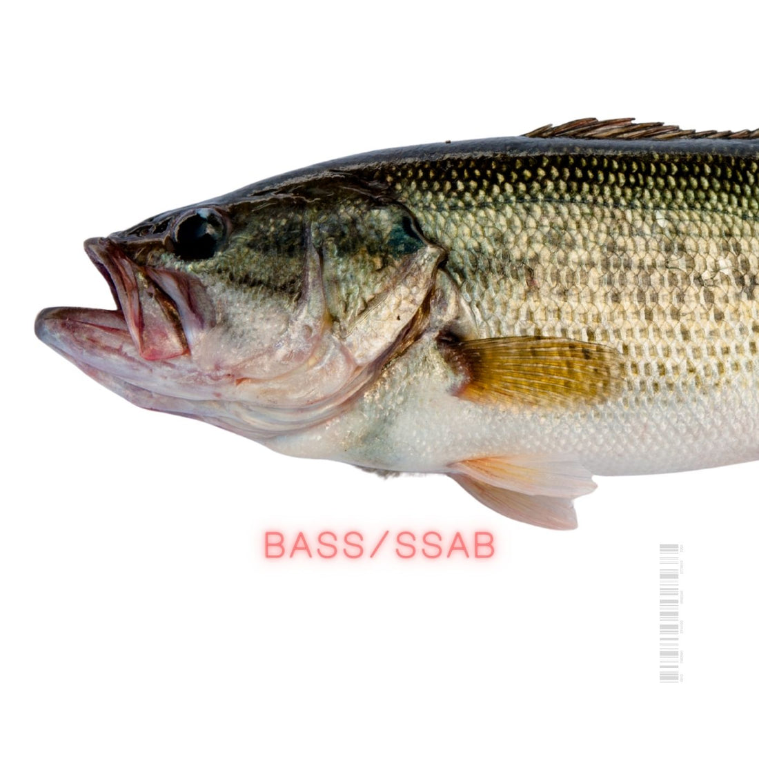 Superbowl of Fishing: Bass Master Classic