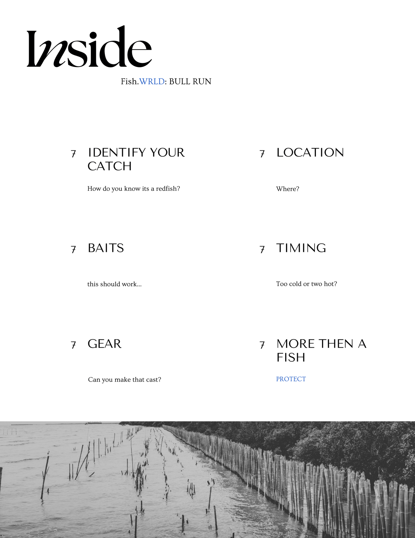 BULL RED: Digital Lab (Red Fish)