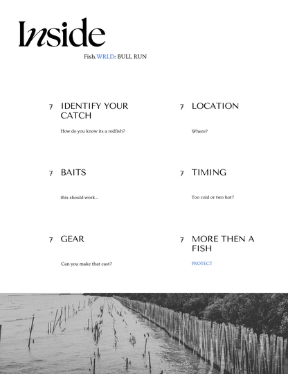 BULL RED: Digital Lab (Red Fish)